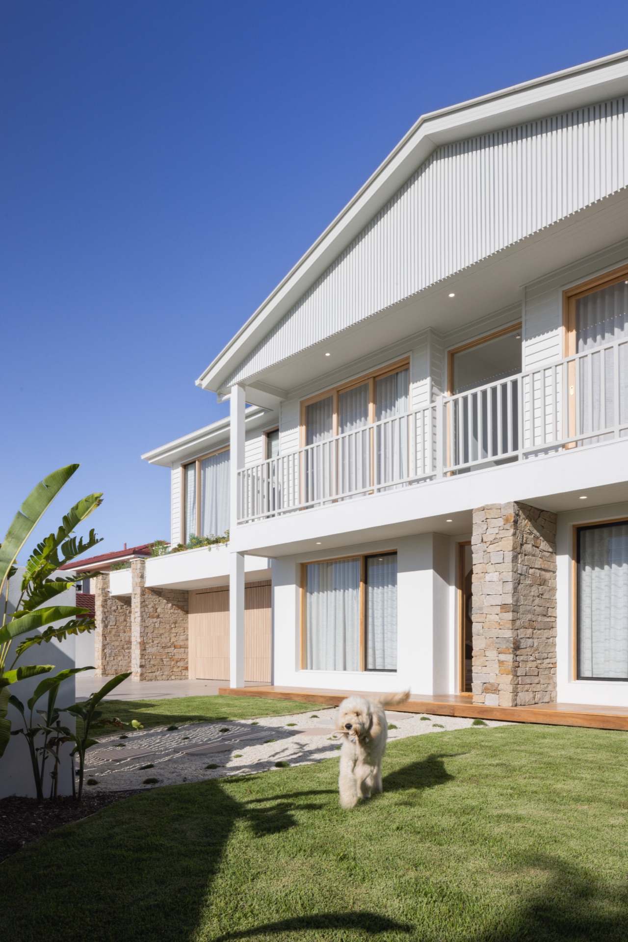 Bold Living two storey coastal home at Paradise Point with dog on the lawn