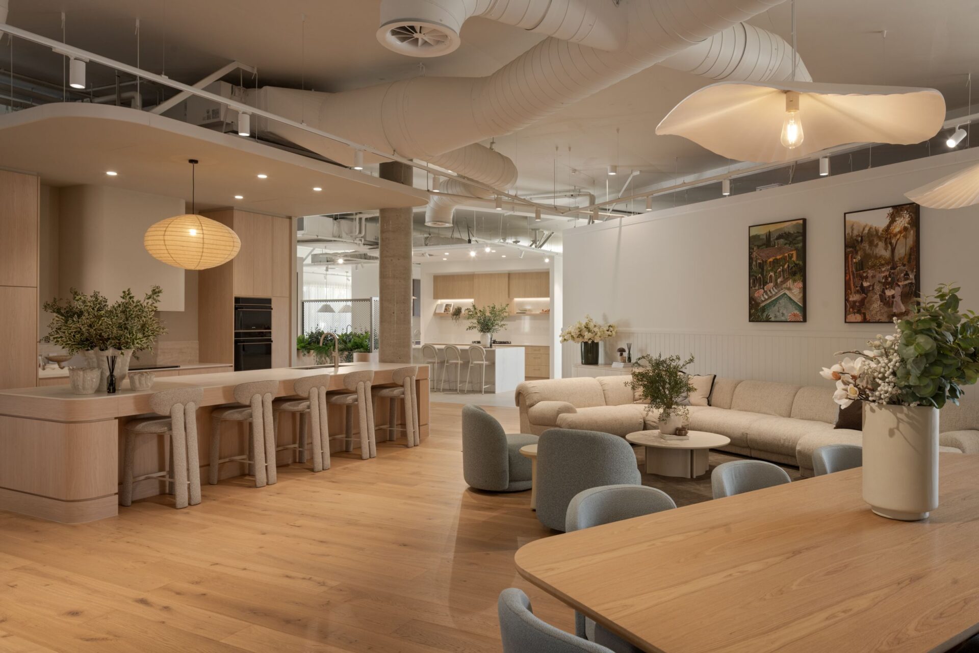 Open plan kitchen, lounge and dining display inside Studio Bold